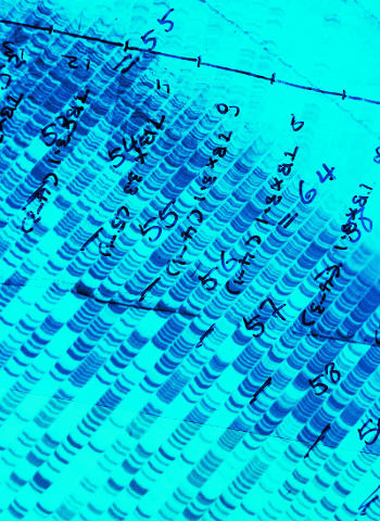 Without diversity in genomics data, personalized medicine in the Middle East is not feasible. 
